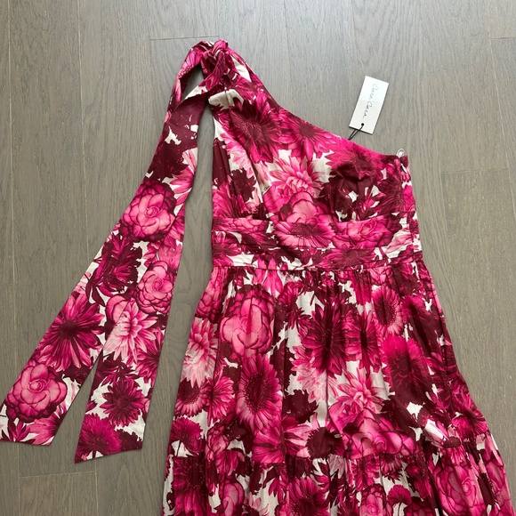 Cara Cara Mattera Floral One Shoulder Maxi Dress Pink Enchanted Tie Sz 4 w/ tags - Picture 6 of 11